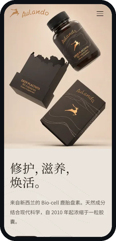 The Chinese site on a phone